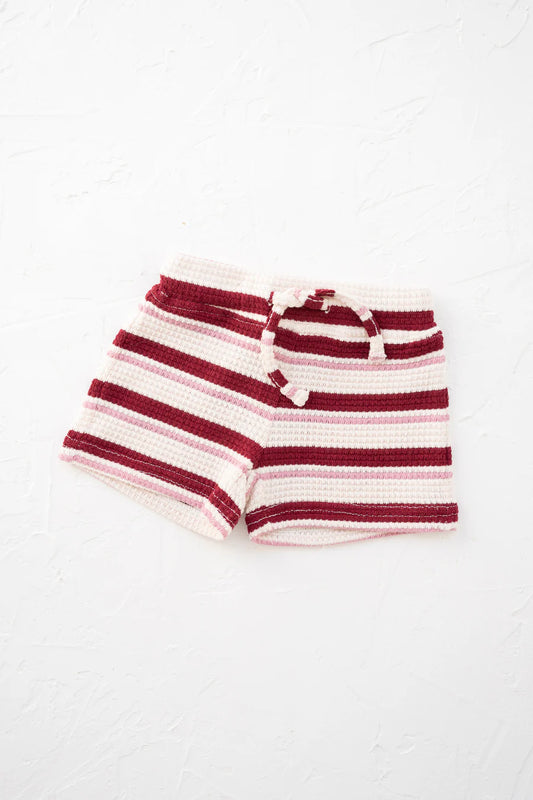 ニットショーツ - Pomegranate Stripe Knitted Shorts