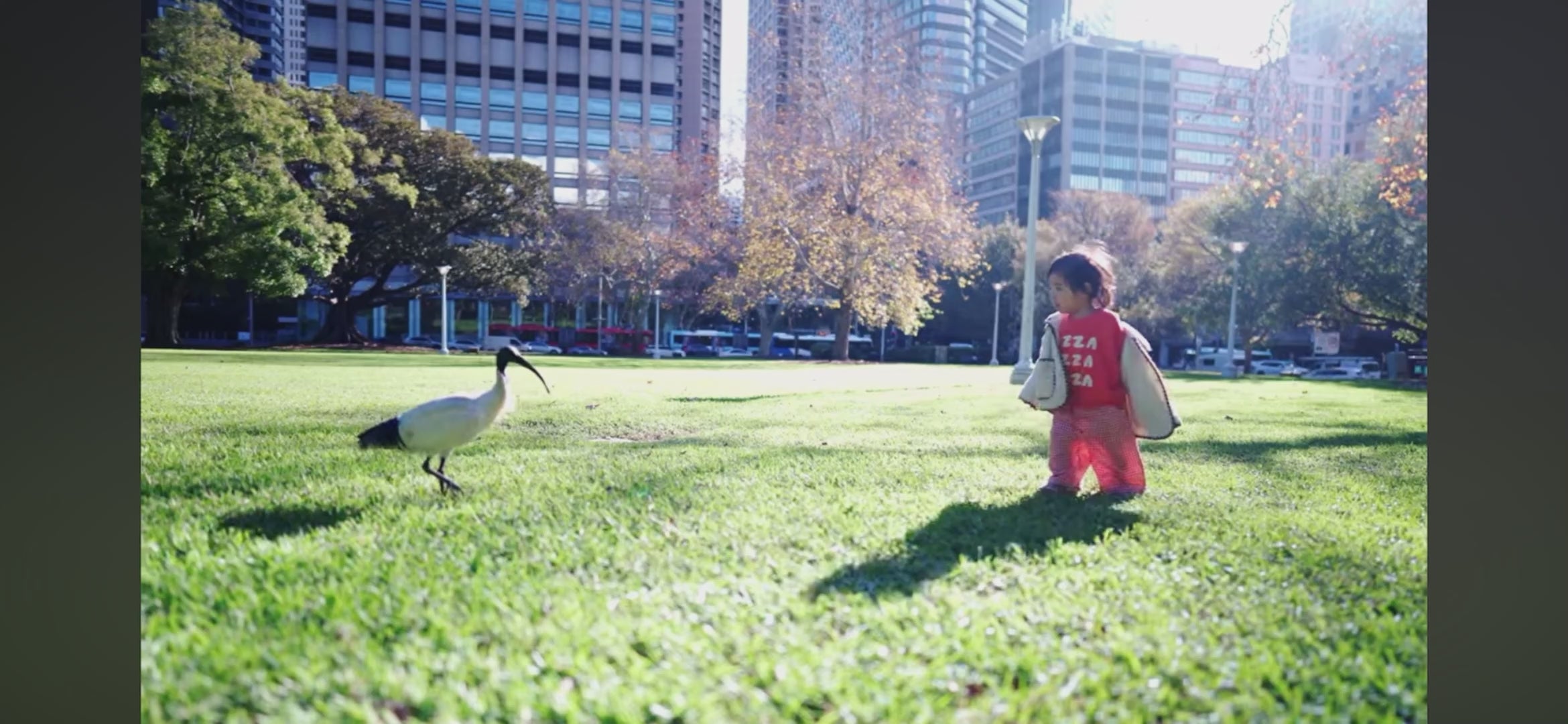 動画を読み込む: 
